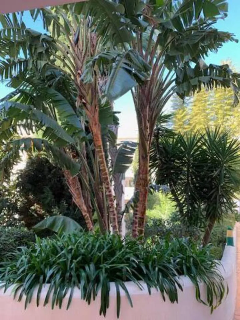 Appartement Pueblo Del Parque Avec Belle Terrasse Benalmadena 0*,  Spain